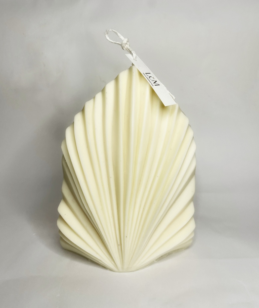 CONCHA DE MAR